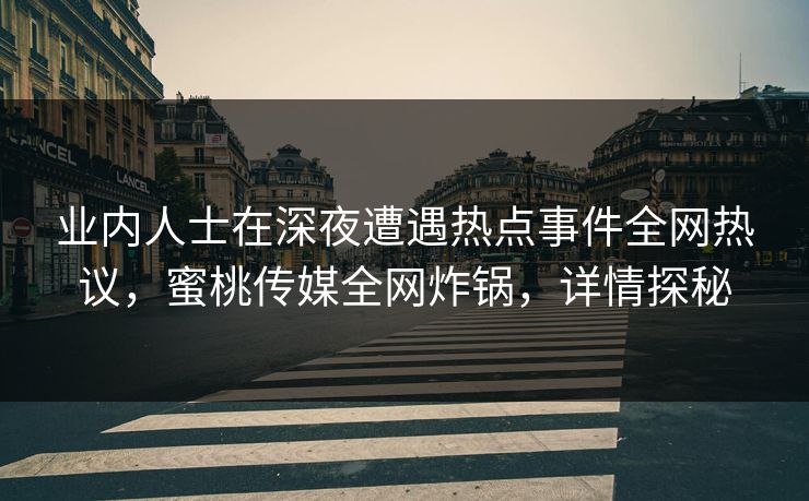 业内人士在深夜遭遇热点事件全网热议，蜜桃传媒全网炸锅，详情探秘